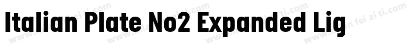 Italian Plate No2 Expanded Light字体转换